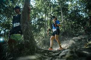 BIB: 
                            <button type="button" onclick="openModal(25990358)" class="btn btn-primary btn-sm float-right btn-popup" data-toggle="modal" data-target=".modal-high-quality">
                        <i class="fas fa-shopping-cart"></i> Add to Cart
                    </button>
                                            <button type="button" onclick="isThisMe(25990358, true)" class="btn btn-success btn-sm float-right btn-popup btn-isme hidden" data-toggle="tooltip" data-placement="bottom" title="นี่คือรูปของคุณใช่ไหม คลิกที่นี่เพื่อเอาเข้าอัลบั้ม">
                        <i class="fas fa-plus"></i> Add to album
                    </button>
                    <button type="button" onclick="isThisMe(25990358, false)" class="btn btn-warning btn-sm float-right btn-popup btn-isnotme hidden">
                        <i class="fas fa-ban"></i> Remove from album
                    </button>